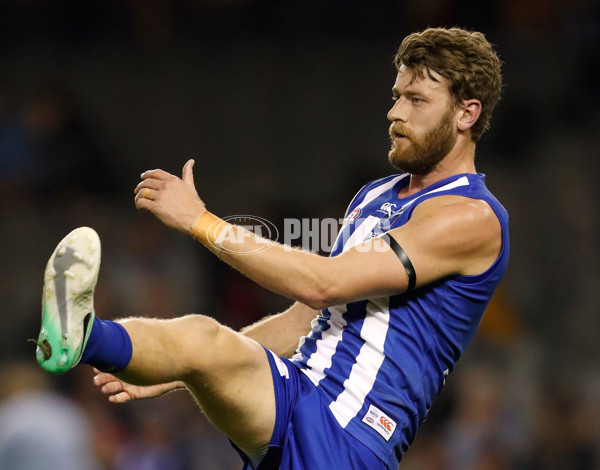 AFL 2017 Round 13 - North Melbourne v St Kilda - 520262