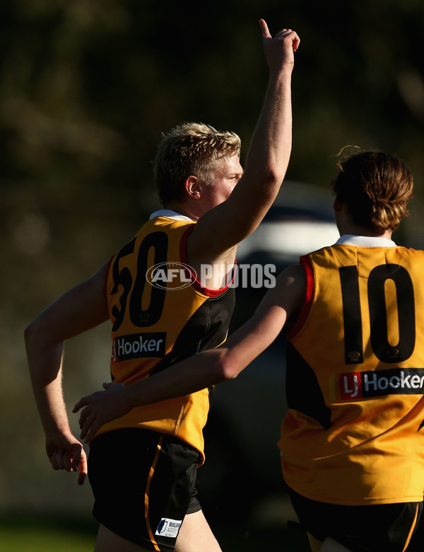 TAC Cup 2017 Round 10 - Dandenong v Murray - 520343