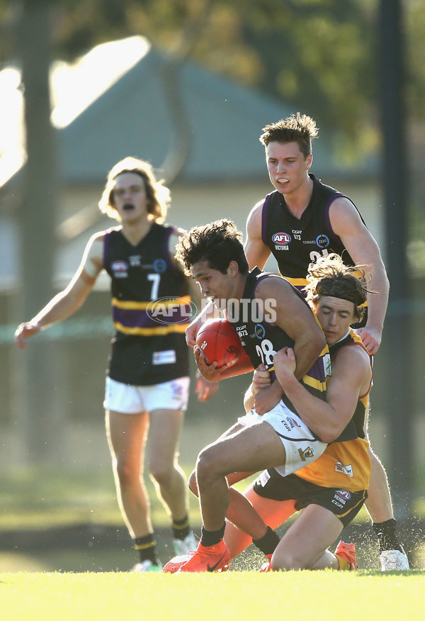 TAC Cup 2017 Round 10 - Dandenong v Murray - 520424