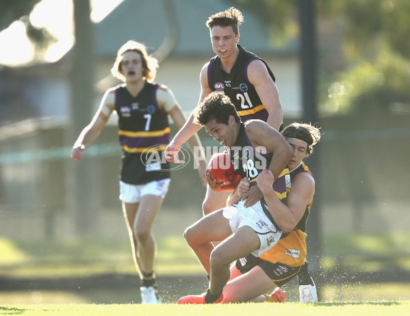 TAC Cup 2017 Round 10 - Dandenong v Murray - 520423