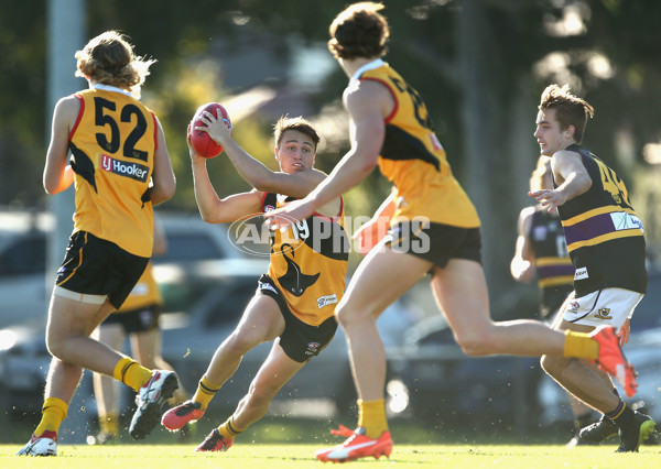 TAC Cup 2017 Round 10 - Dandenong v Murray - 520358