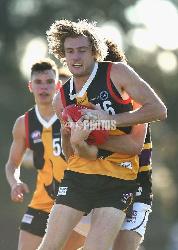 TAC Cup 2017 Round 10 - Dandenong v Murray - 520406