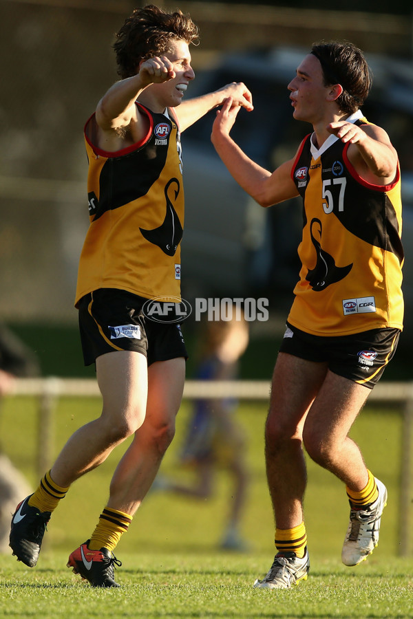 TAC Cup 2017 Round 10 - Dandenong v Murray - 520904