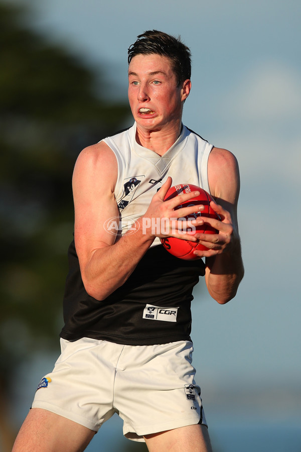 VFL 2017 Rd 09 - Williamstown v North Ballarat - 521291