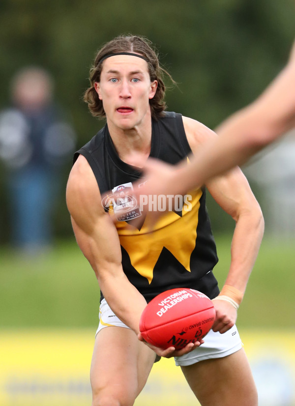 VFL 2017 Round 10 - Footscray v Werrribee - 522844