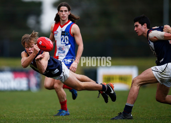 TAC Cup 2017 Round 12 - Gippsland v Sandringham - 528509