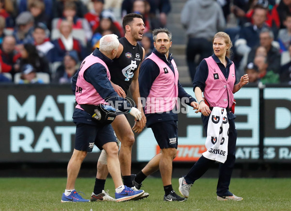 AFL 2017 Round 16 - Carlton v Melbourne - 529133