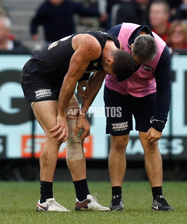 AFL 2017 Round 16 - Carlton v Melbourne - 529132