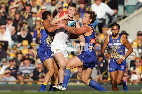 AFL 2017 Round 16 - West Coast v Port Adelaide - 529319