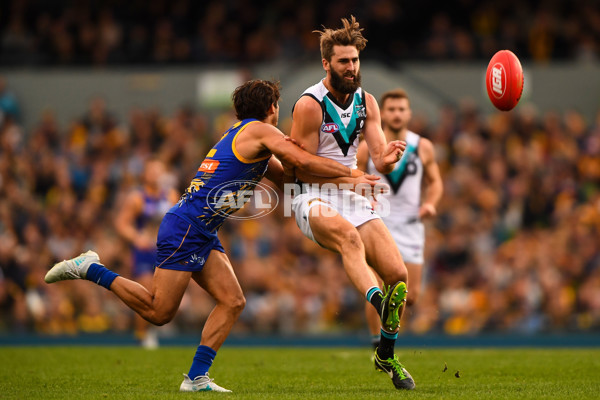 AFL 2017 Round 16 - West Coast v Port Adelaide - 529480