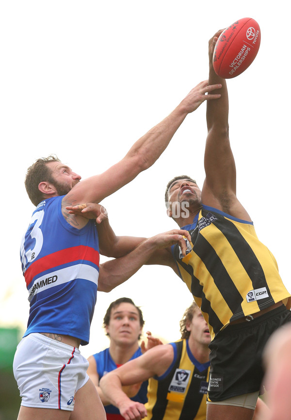 VFL 2017 Round 12 - Sandringham v Footscray - 529773