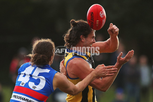 VFL 2017 Round 12 - Sandringham v Footscray - 529793