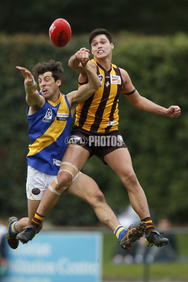 VFL 2017 Round 12 - Box Hill v Williamstown - 529824