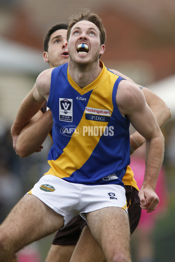 VFL 2017 Round 12 - Box Hill v Williamstown - 529836