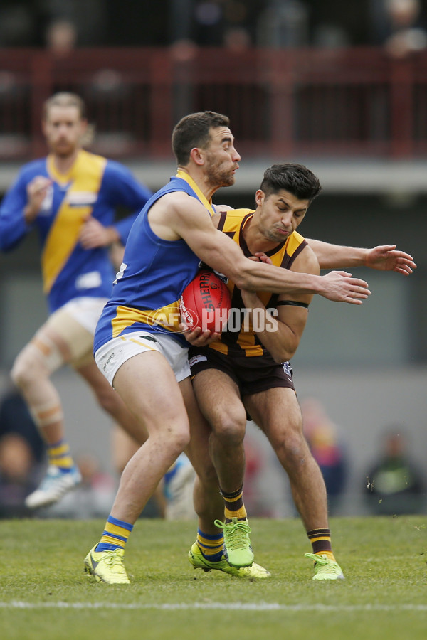 VFL 2017 Round 12 - Box Hill v Williamstown - 529847