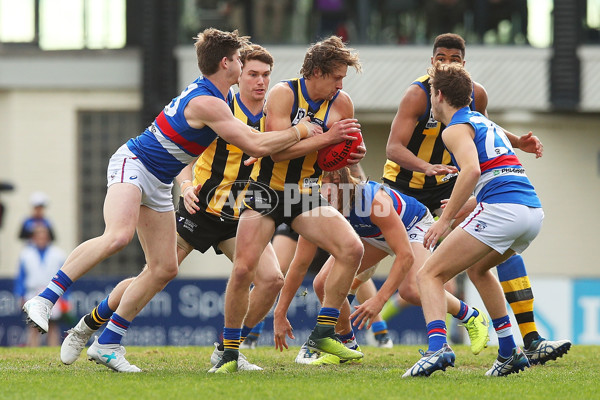 VFL 2017 Round 12 - Sandringham v Footscray - 529769