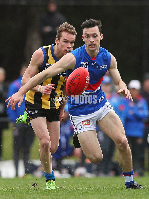 VFL 2017 Round 12 - Sandringham v Footscray - 529781