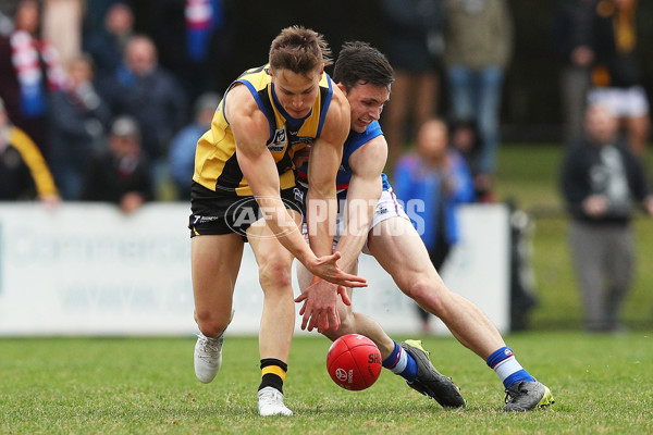 VFL 2017 Round 12 - Sandringham v Footscray - 529780