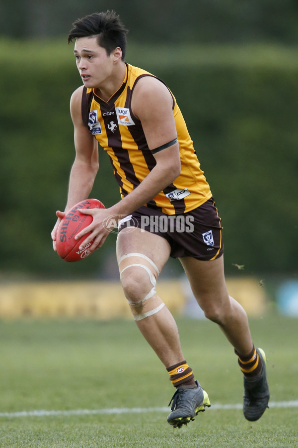 VFL 2017 Round 12 - Box Hill v Williamstown - 529859