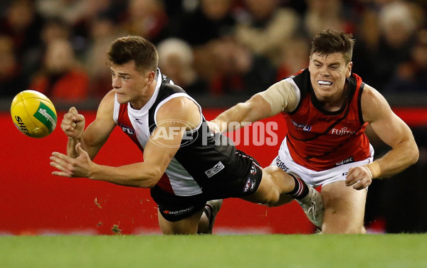 AFL 2017 Round 17 - St Kilda v Essendon - 530339