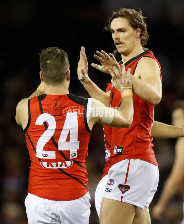 AFL 2017 Round 17 - St Kilda v Essendon - 530311