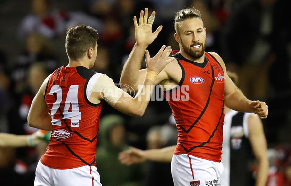 AFL 2017 Round 17 - St Kilda v Essendon - 530404