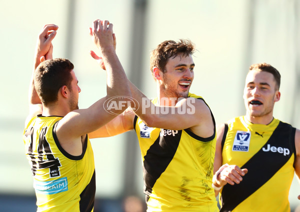 VFL 2017 Round 13 - Werribee v Richmond - 530648