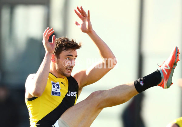 VFL 2017 Round 13 - Werribee v Richmond - 530646