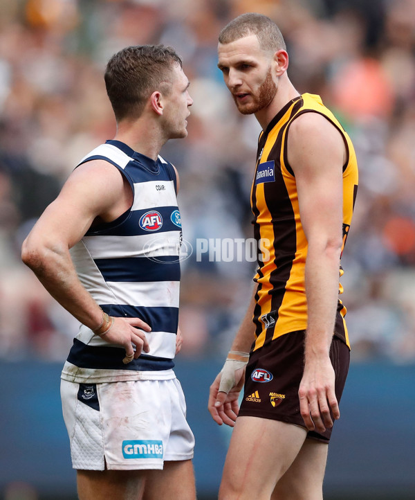 AFL 2017 Round 17 - Geelong v Hawthorn - 530662