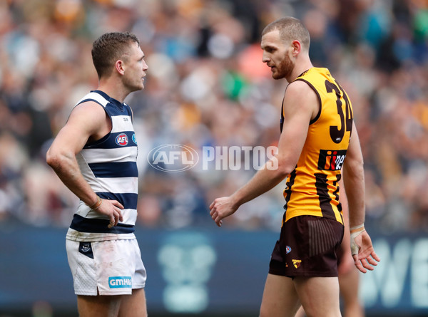 AFL 2017 Round 17 - Geelong v Hawthorn - 530663