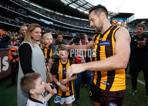 AFL 2017 Round 17 - Geelong v Hawthorn - 530755