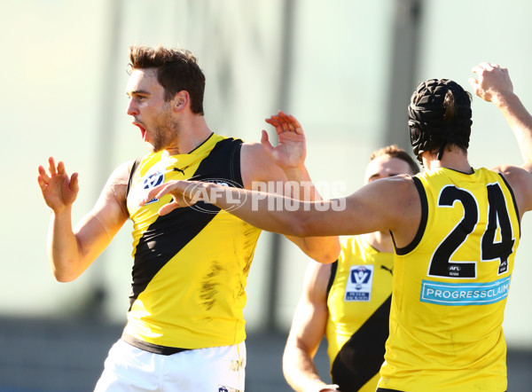 VFL 2017 Round 13 - Werribee v Richmond - 530677