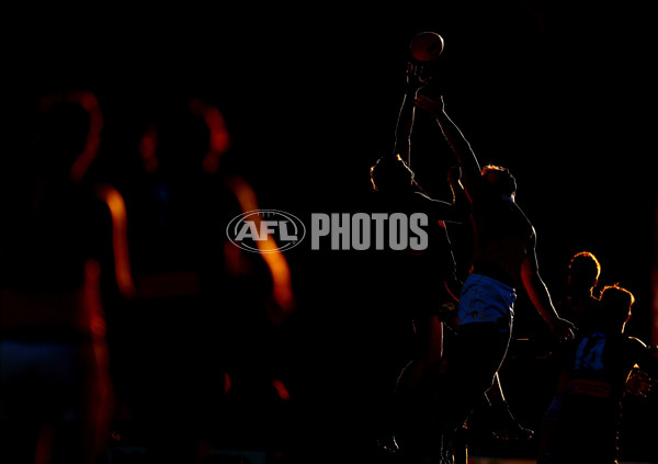 VFL 2017 Round 13 - Werribee v Richmond - 530868