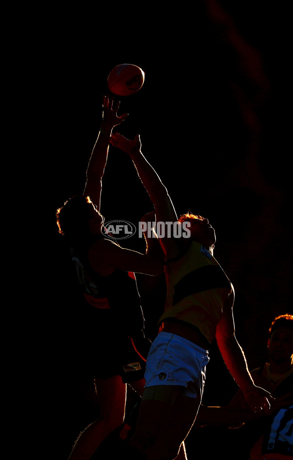 VFL 2017 Round 13 - Werribee v Richmond - 530869