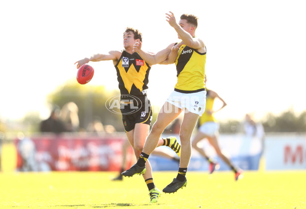 VFL 2017 Round 13 - Werribee v Richmond - 531319