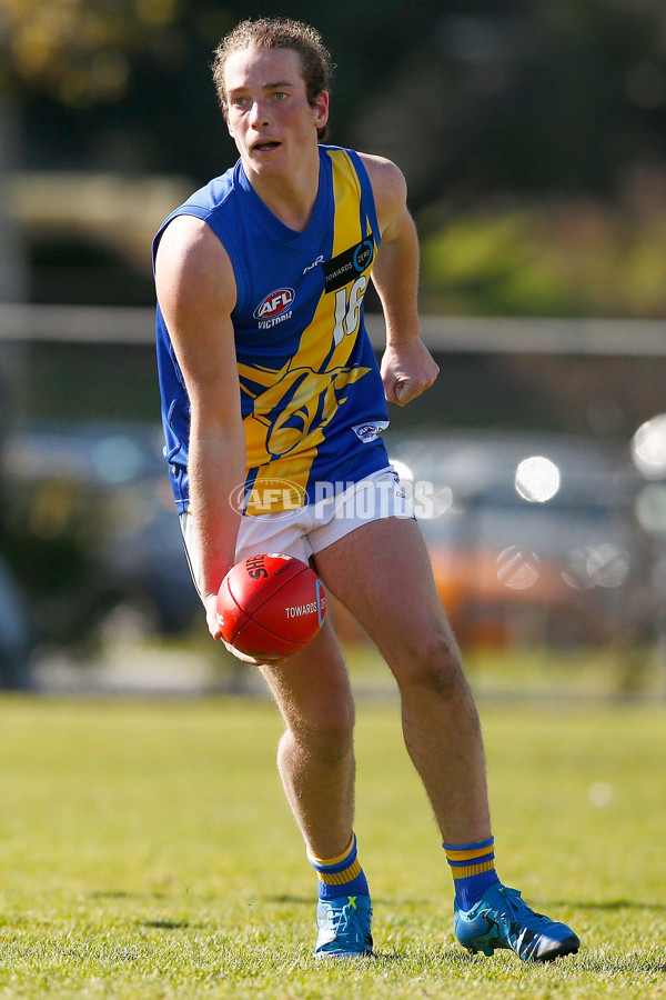 TAC Cup 2017 Round 14 - Sandringham v Western Jets - 535135