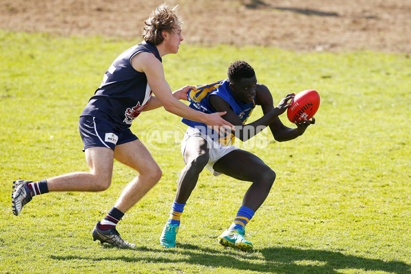 TAC Cup 2017 Round 14 - Sandringham v Western Jets - 535101
