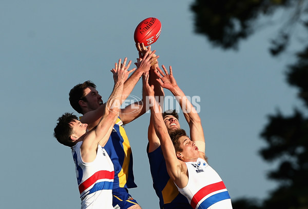 VFL 2017 Round 15 - Williamstown v Footscray - 535650