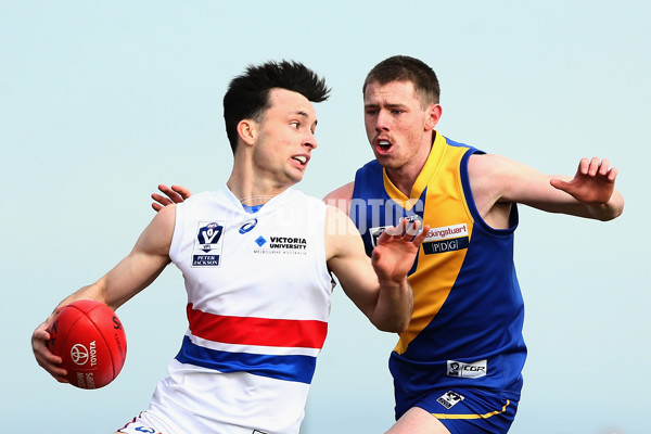 VFL 2017 Round 15 - Williamstown v Footscray - 535647