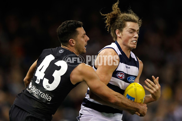 AFL 2017 Round 19 - Carlton v Geelong - 535778