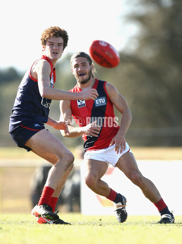 VFL 2017 Round 15 - Casey v Coburg - 535964