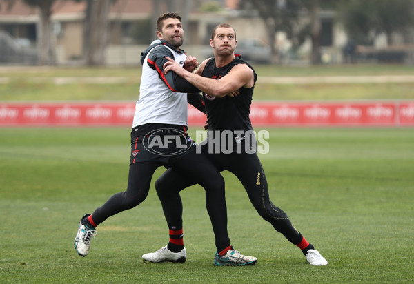 AFL 2017 Training - Essendon 020817 - 536836