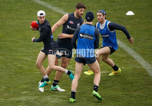 AFL 2017 Training - Carlton 030817 - 536991