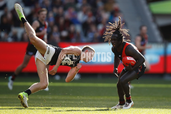 AFL 2017 Round 20 - Essendon v Carlton - 537413