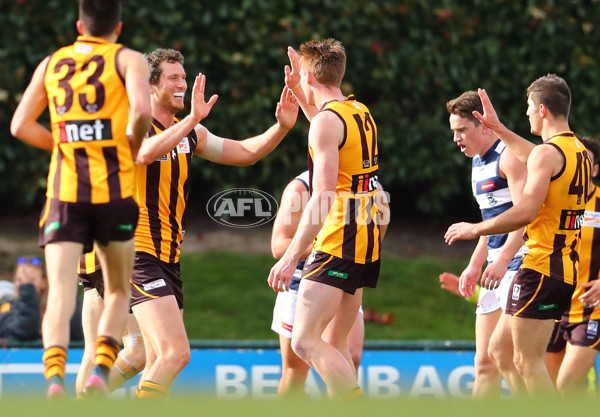 VFL 2017 Round 16 - Box Hill v Geelong - 537409