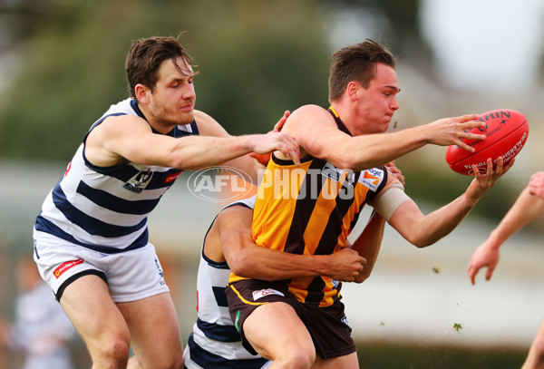 VFL 2017 Round 16 - Box Hill v Geelong - 537427