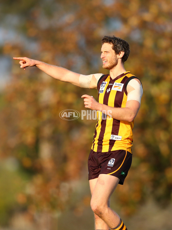 VFL 2017 Round 16 - Box Hill v Geelong - 538172