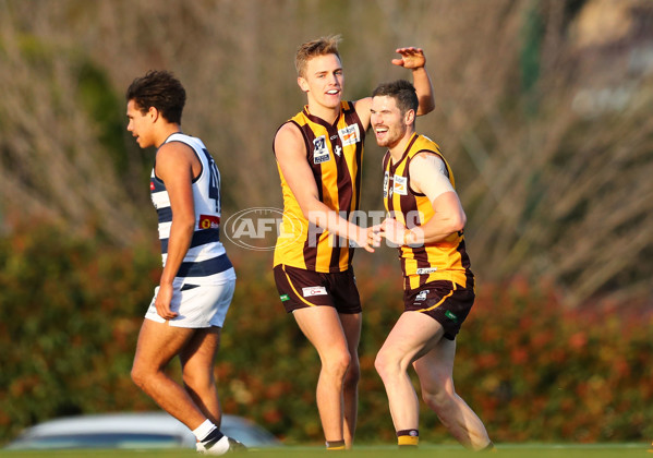 VFL 2017 Round 16 - Box Hill v Geelong - 538177