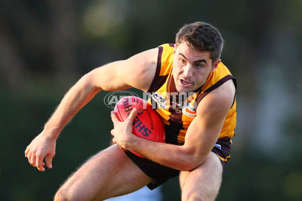 VFL 2017 Round 16 - Box Hill v Geelong - 538183