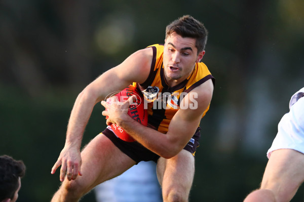 VFL 2017 Round 16 - Box Hill v Geelong - 538182